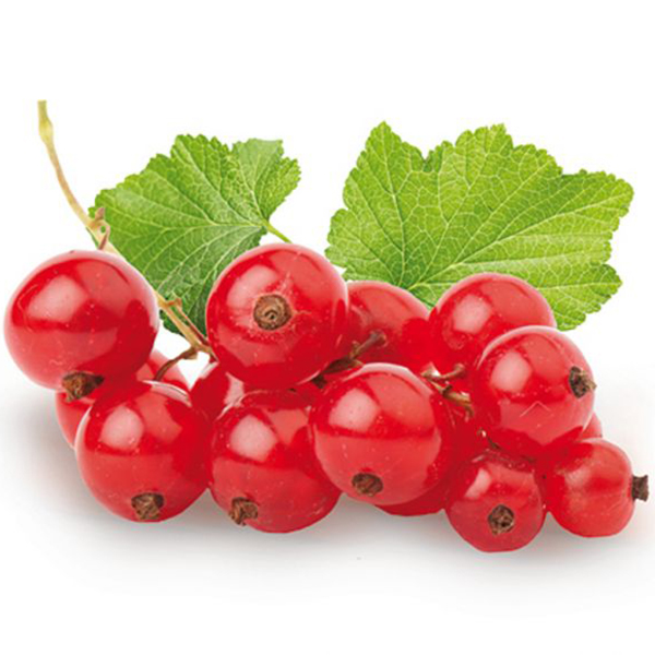 Rode bessenn - Chocolate Events